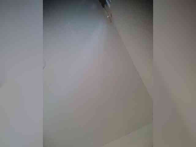 LunaBiely webcam
