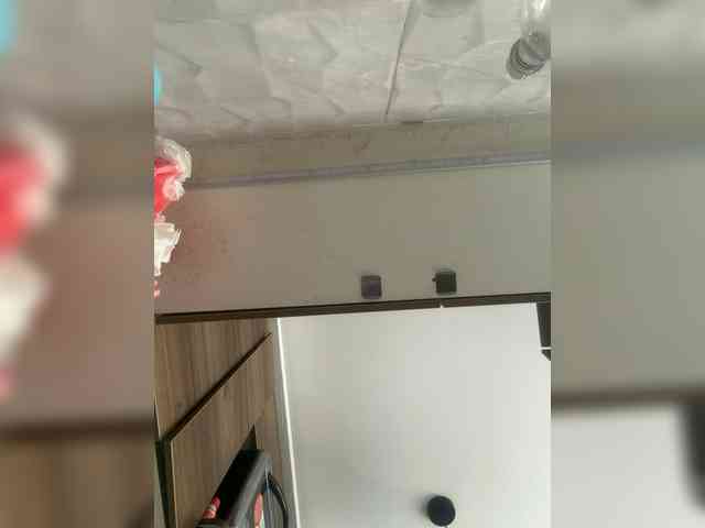 LunaBiely webcam