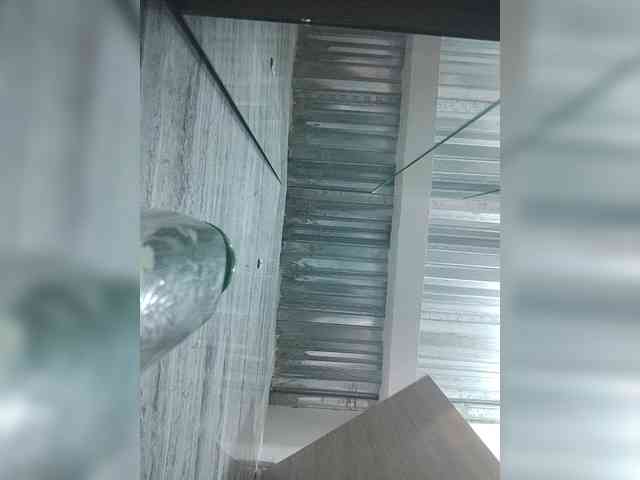 LunaBiely webcam
