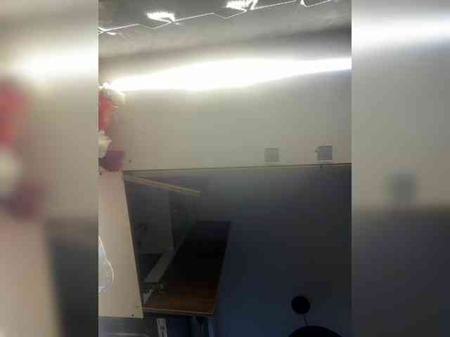 LunaBiely webcam