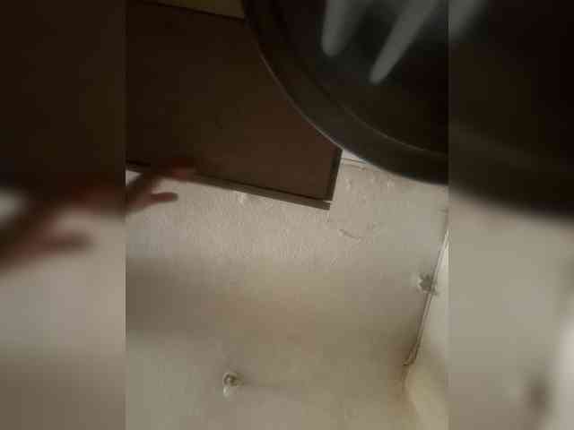 LunaBiely webcam