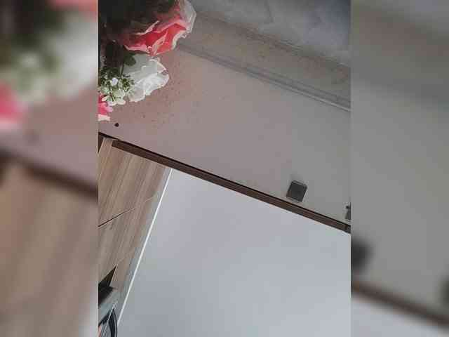 LunaBiely webcam
