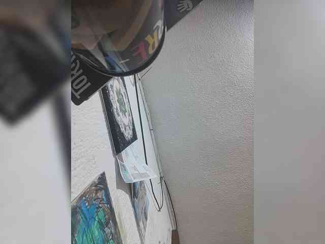 LunaBiely webcam