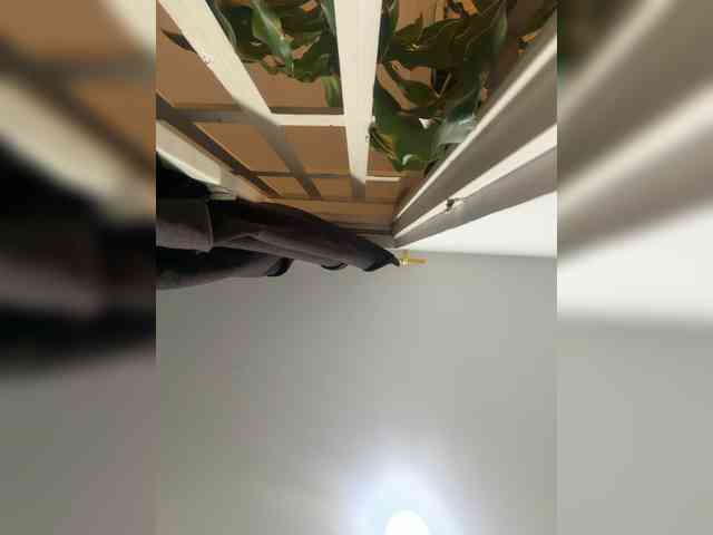 LunaBiely webcam