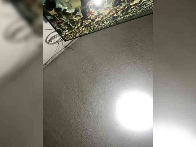 LunaBiely webcam