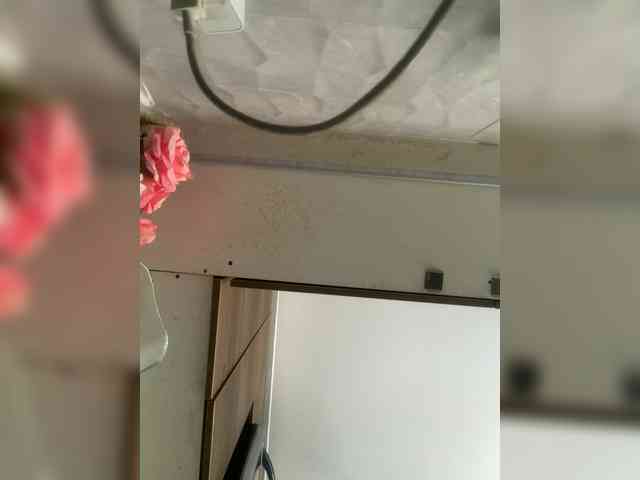 LunaBiely webcam