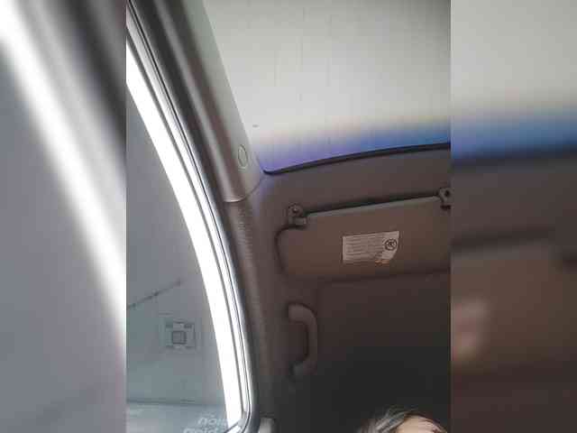 LunaBiely webcam