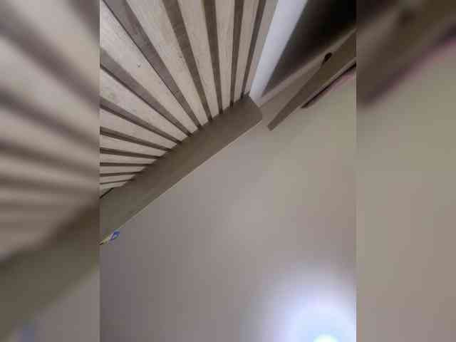 LunaBiely webcam