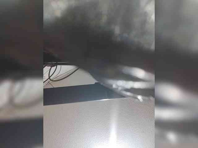 LunaBiely webcam