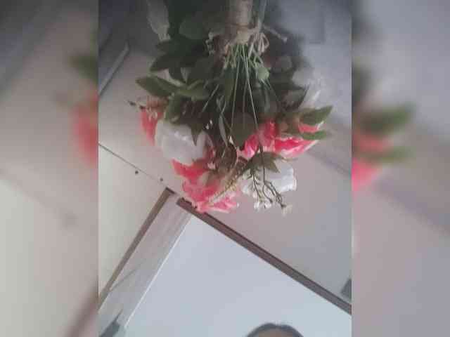 LunaBiely webcam