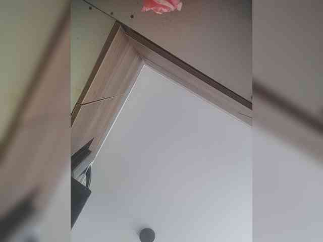LunaBiely webcam
