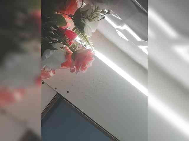 LunaBiely webcam