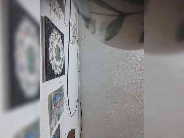 LunaBiely webcam