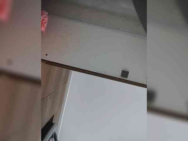 LunaBiely webcam
