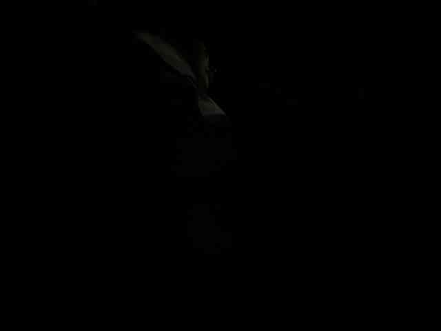 LunaBiely webcam