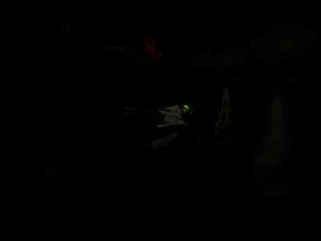 LunaBiely webcam