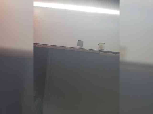 LunaBiely webcam