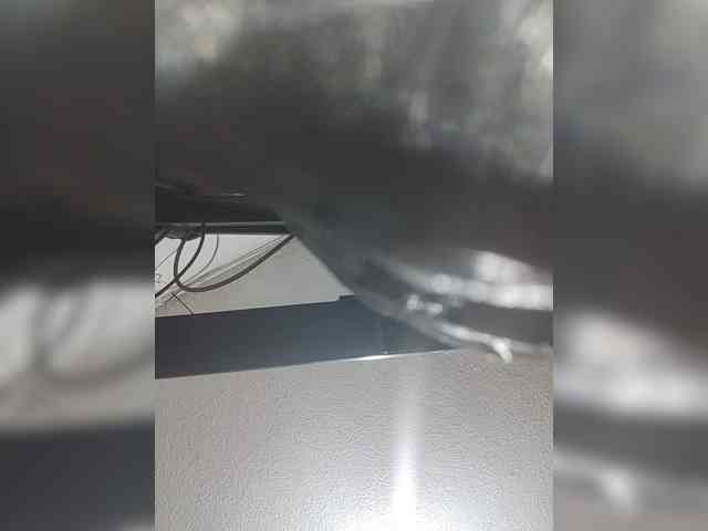 LunaBiely webcam