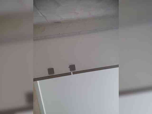 LunaBiely webcam
