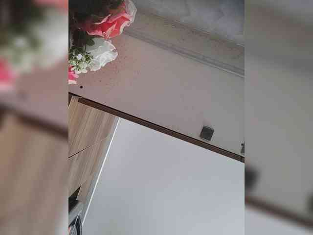 LunaBiely webcam