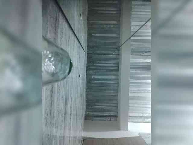 LunaBiely webcam