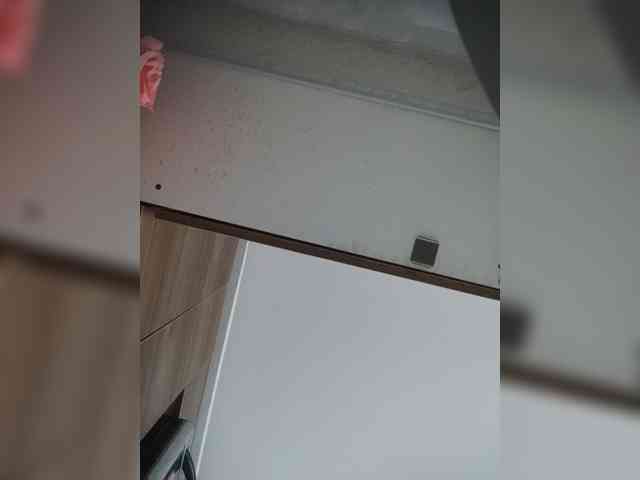 LunaBiely webcam