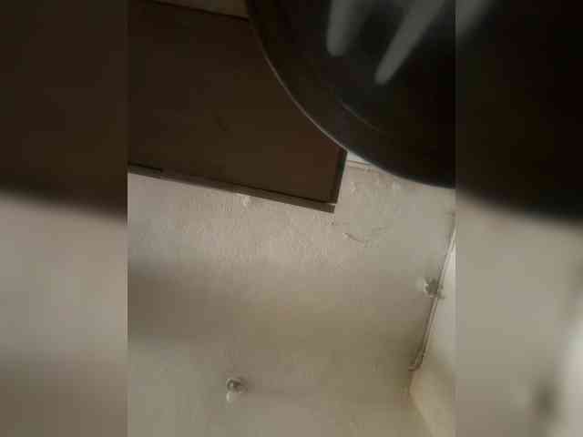 LunaBiely webcam