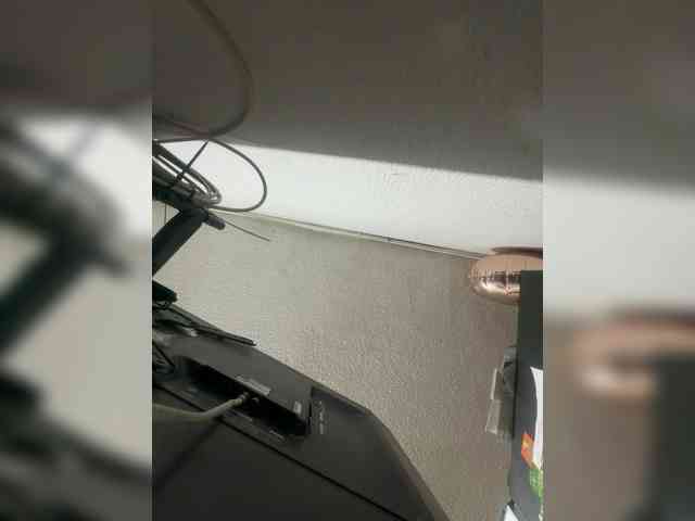 LunaBiely webcam