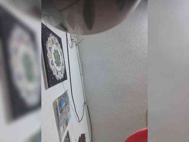 LunaBiely webcam