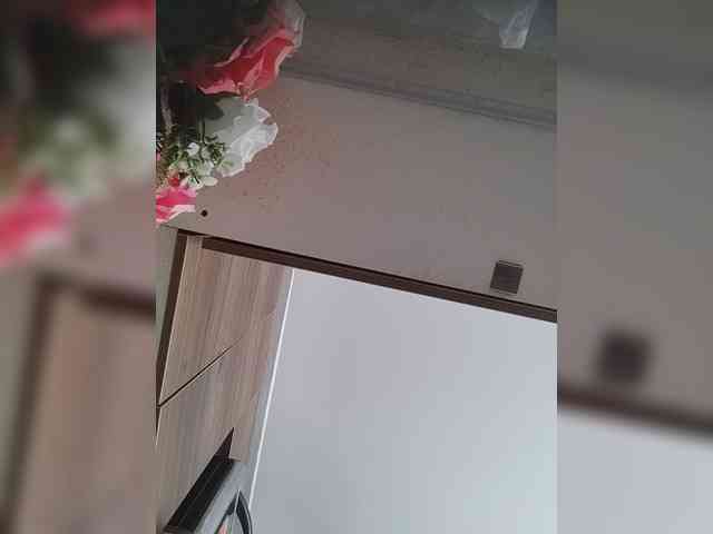 LunaBiely webcam