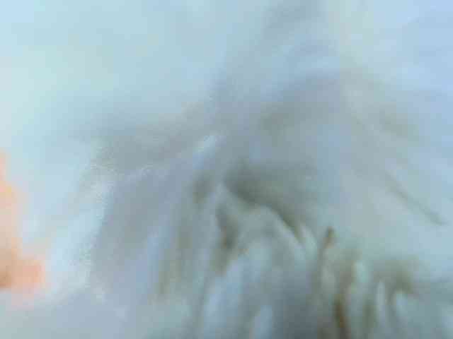 AnnaliOlsenX