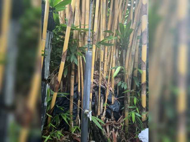  KinaMoonLove chat room