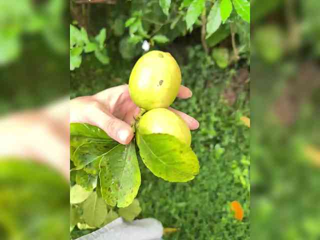 KinaMoonLove webcam