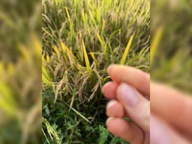 KinaMoonLove webcam