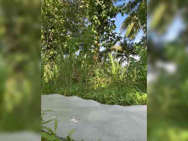 KinaMoonLove webcam