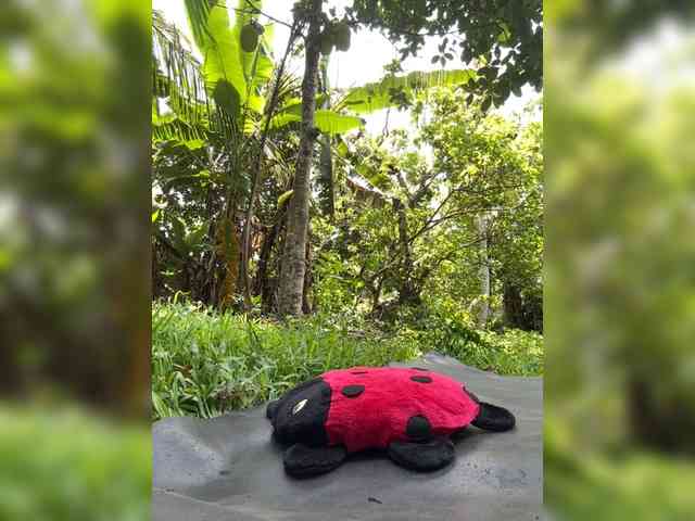 KinaMoonLove webcam
