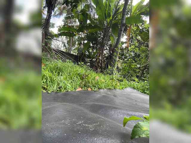 KinaMoonLove webcam