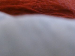ANNYFOX