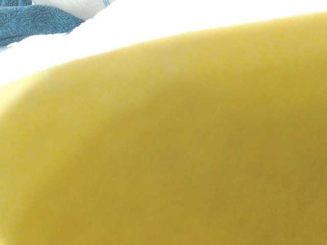 MadissonRousse live cam on BongaCams