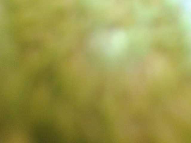 MadissonRousse live cam on BongaCams