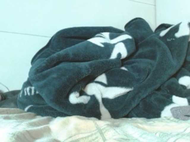 MadissonRousse live cam on BongaCams