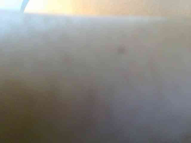 ANNYFOX webcam