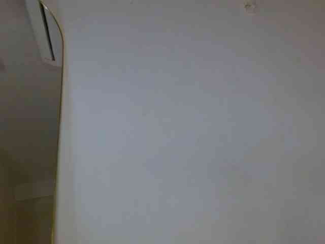 ANNYFOX webcam