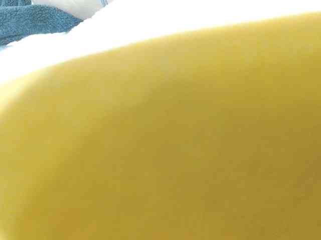 ANNYFOX webcam