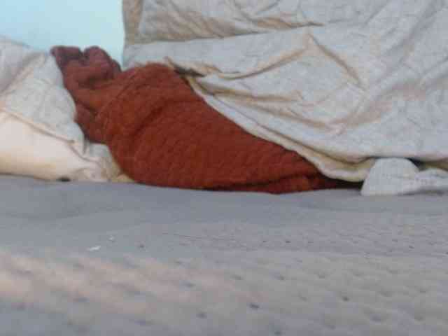 ANNYFOX webcam
