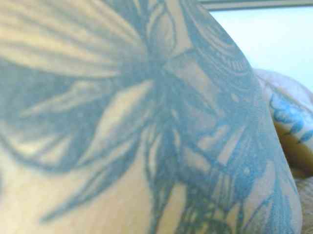 ANNYFOX webcam