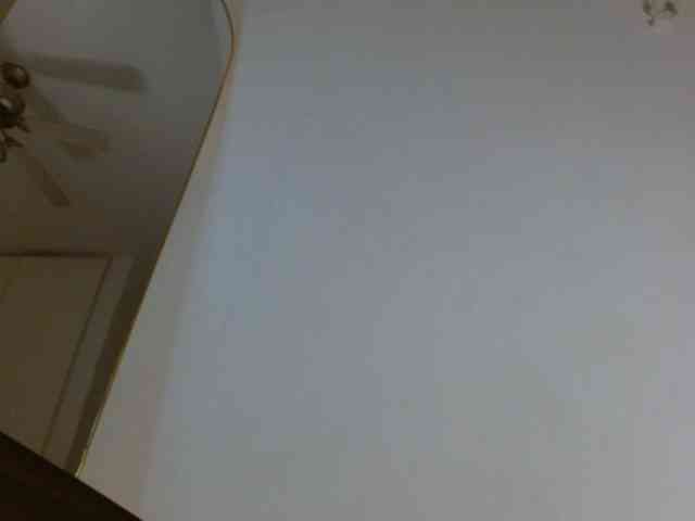ANNYFOX webcam