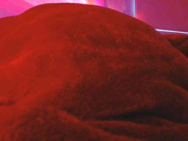 ANNYFOX webcam