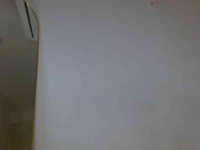 ANNYFOX webcam