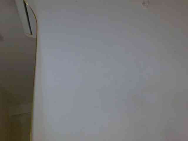 ANNYFOX webcam